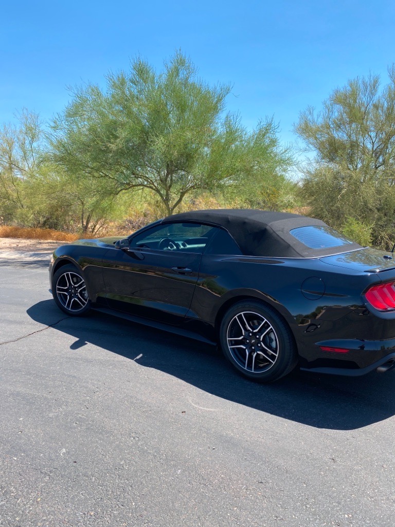 <span>SOLD</span> 2019 Ford Mustang Convertible Ecoboost Premium-Turbocharged full