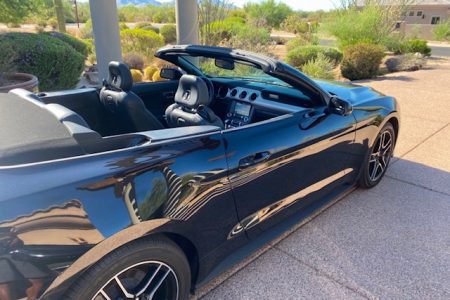 <span>SOLD</span> 2019 Ford Mustang Convertible Ecoboost Premium-Turbocharged full